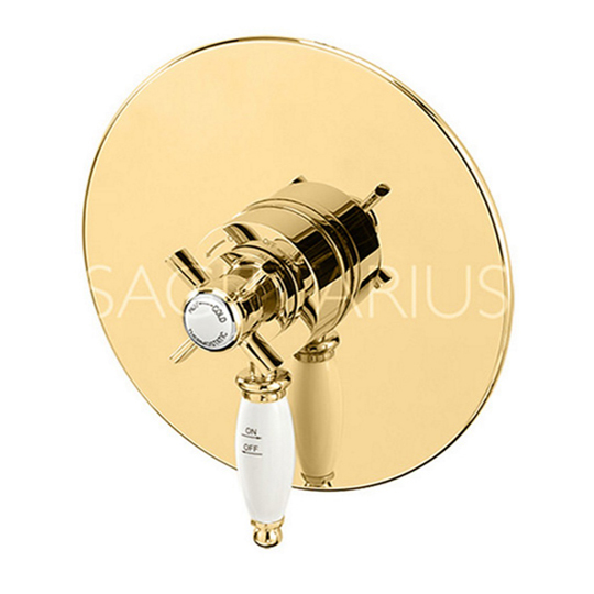 Sagittarius Churchmans Gold Concealed or Exposed Thermostatic Shower