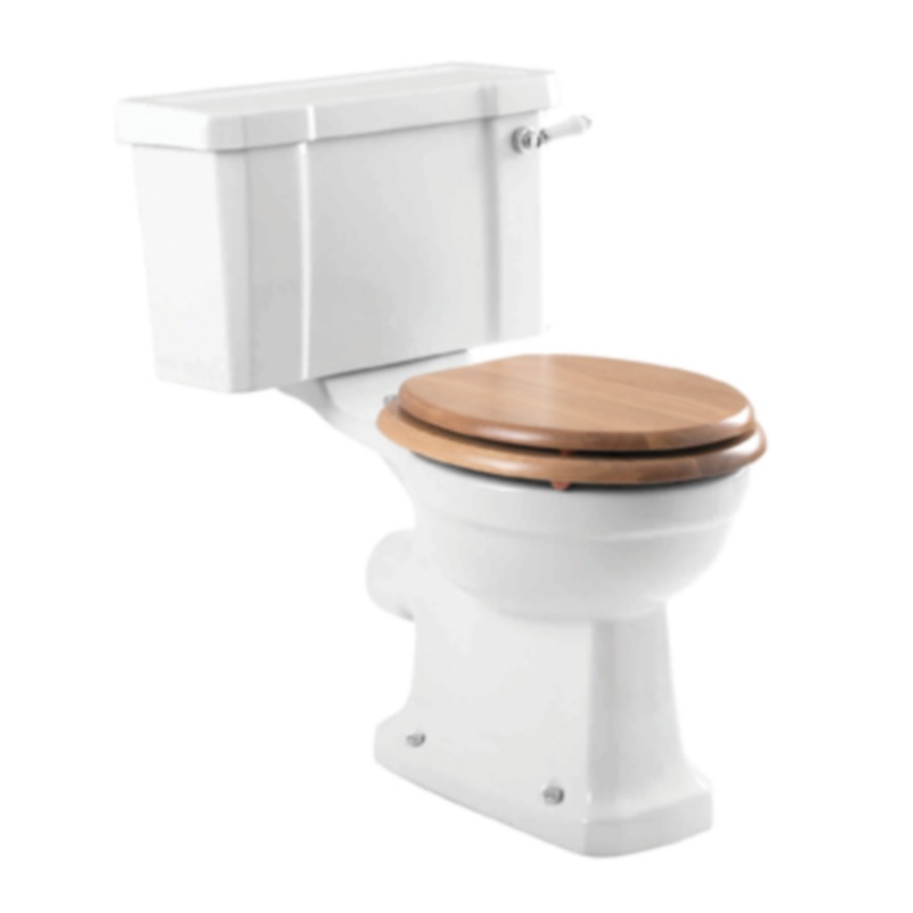 Bluberry Close Coupled Pan with Single Flush Cistern and Oak Seat