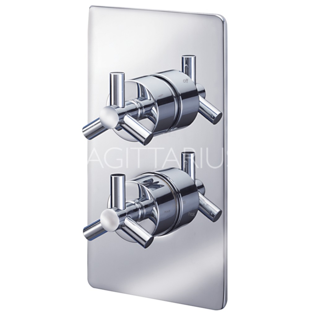 X Sagittarius Zone Concealed Thermostatic Shower Valve With 2 Way Diverter ZO-177-C