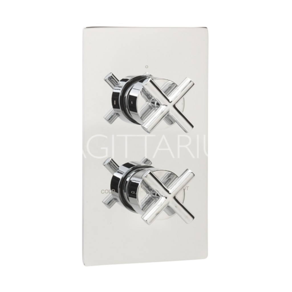 Sagittarius Avant Concealed Thermostatic 2-Way Shower Valve AV-577-C