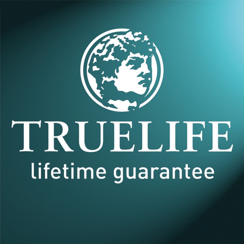 X Roman Showers Collage Bi-Fold Door Shower Enclosure