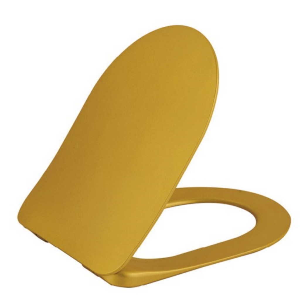 Creavit Terra Combined Bidet - Wall Hung Pan: Gold TP325.00000