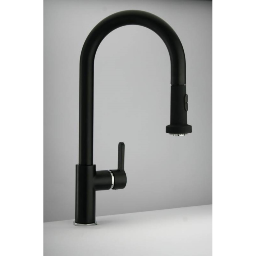 Paini Arena Pull Out Spray Kitchen Tap 92CR591LL