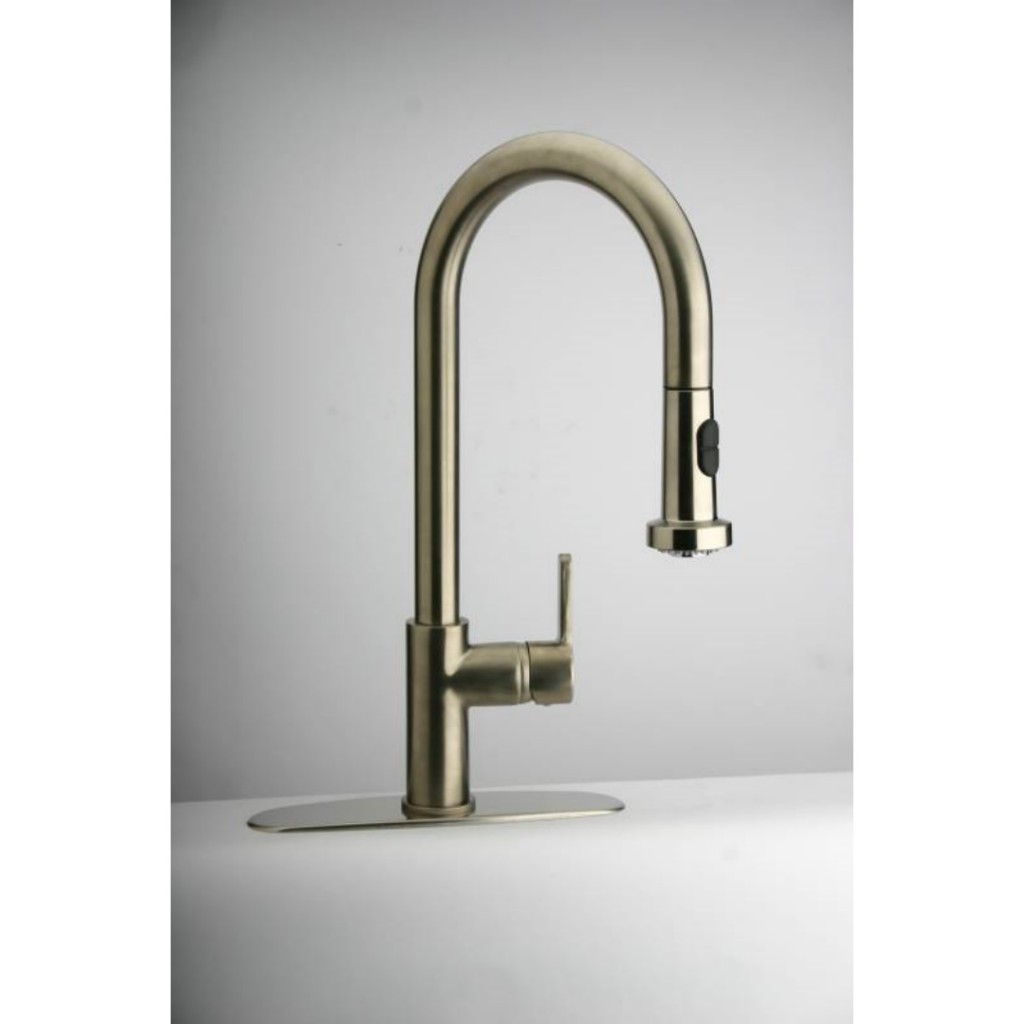 Paini Arena Pull Out Spray Kitchen Tap 92CR591LL