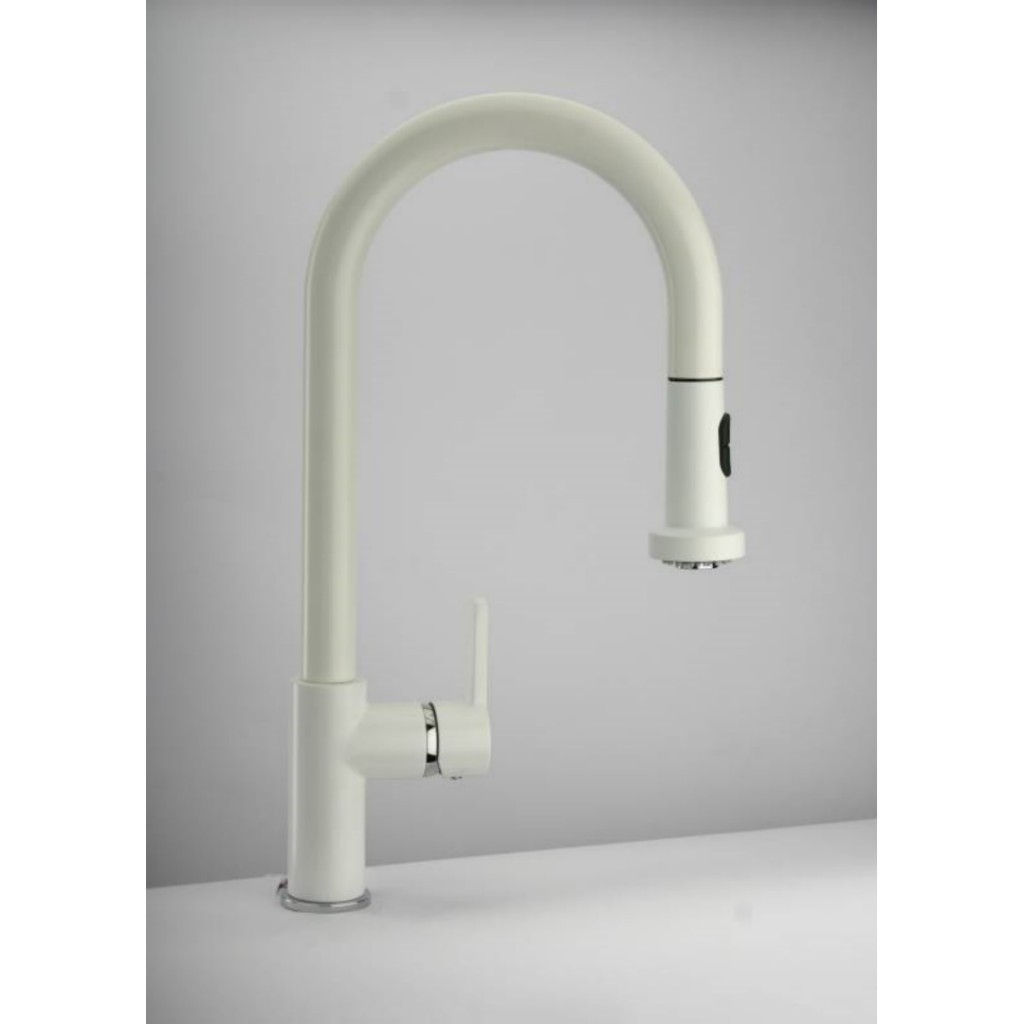 Paini Arena Pull Out Spray Kitchen Tap 92CR591LL
